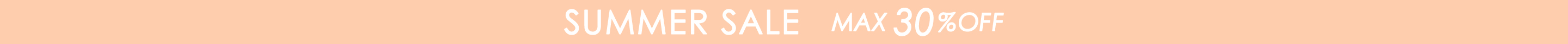 SUMMER SALE MAX 30% OFF