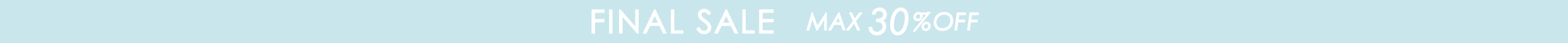 SUMMER SALE MAX 30% OFF