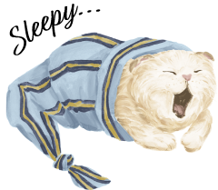 猫のイラスト