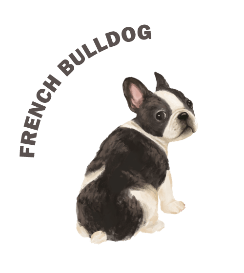 FRENCH BULLDOGのイラスト