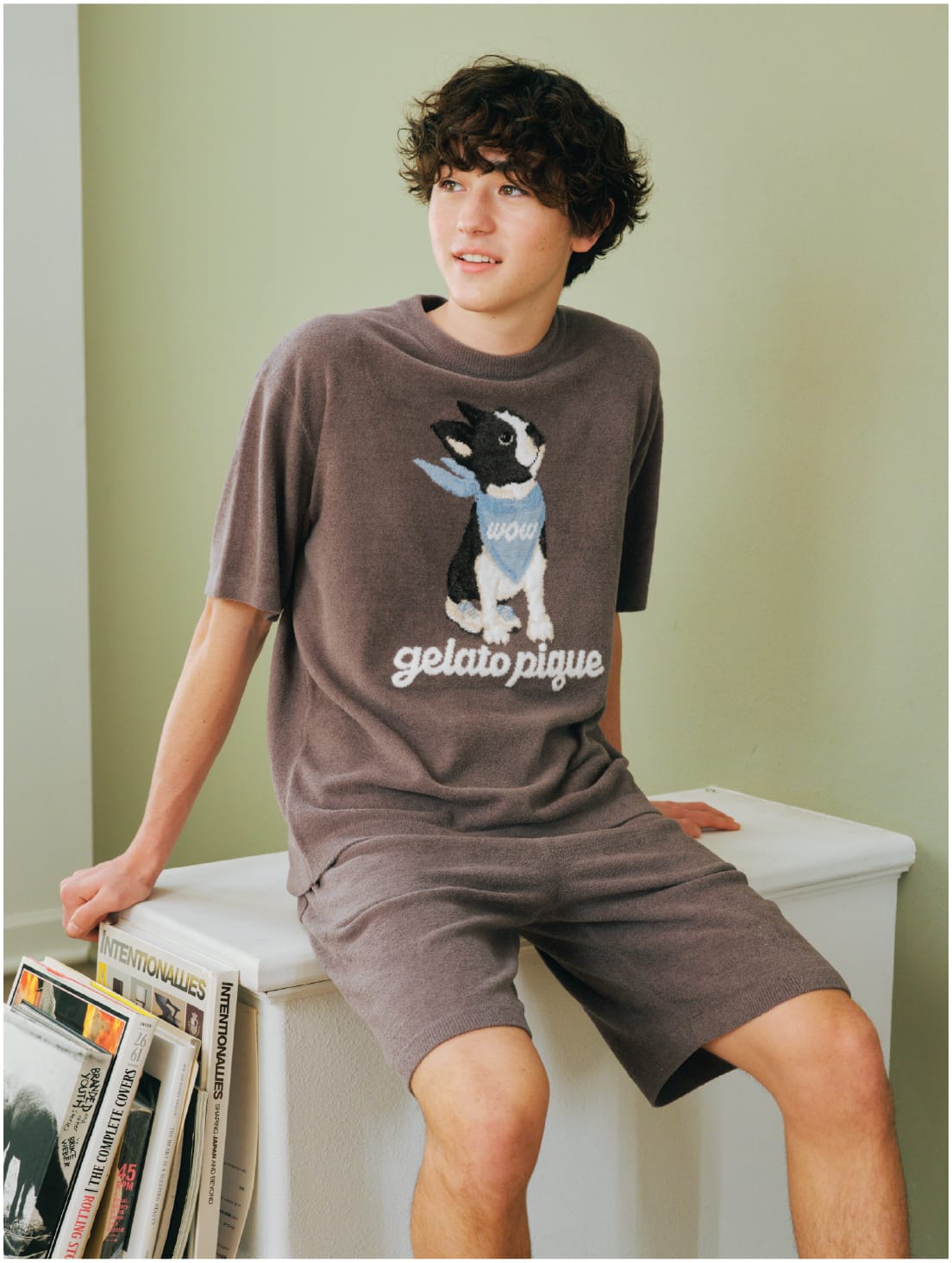 Boston Terrier collection