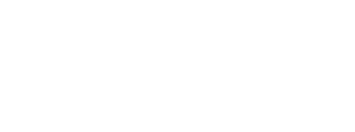 Boston Terrier collection